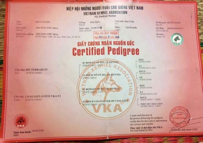 mẫu giấy VKA dành cho chó phú quốc